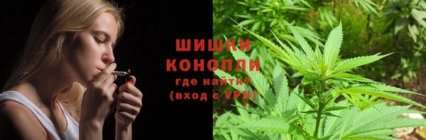 прущие грибы Богородск