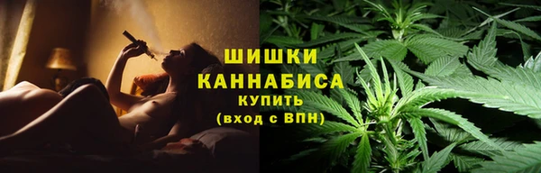 прущие грибы Богородск