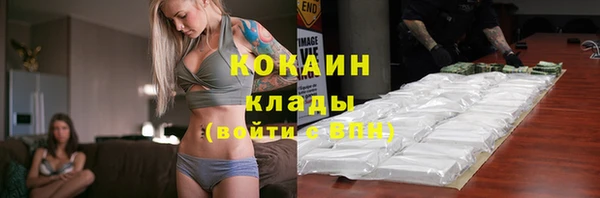 каннабис Богданович
