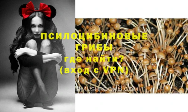 прущие грибы Богородск