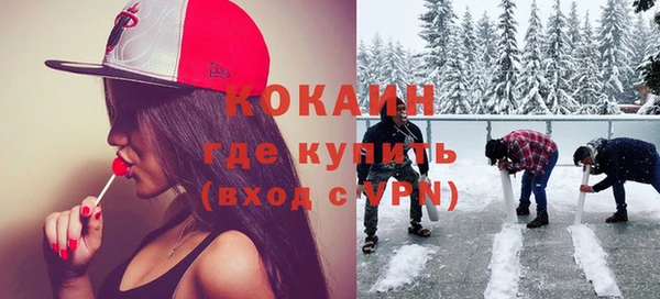 прущие грибы Богородск
