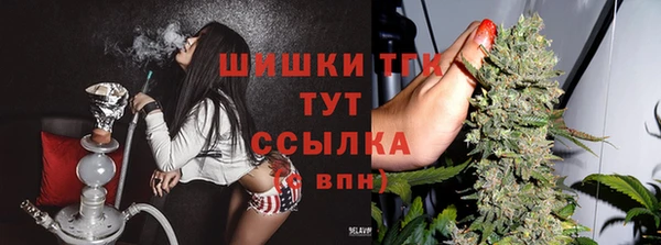 каннабис Богданович